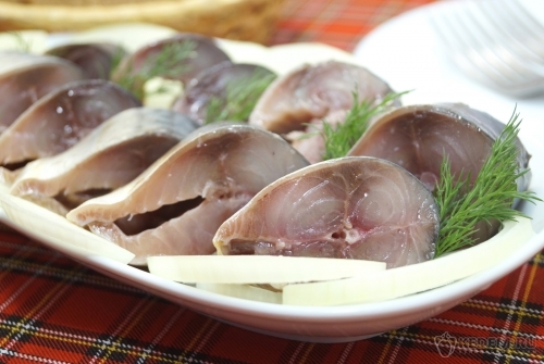 Малосольная скумбрия в домашних условиях