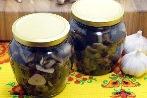 Маринованные опята на зиму с чесноком