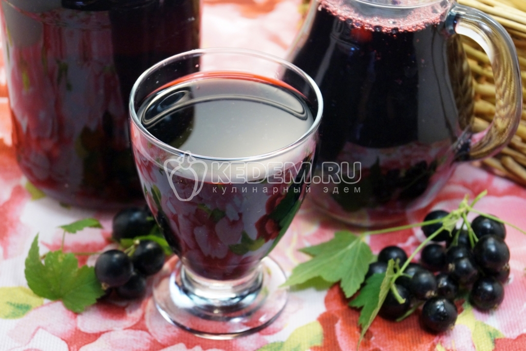 Компот из черной смородины на зиму