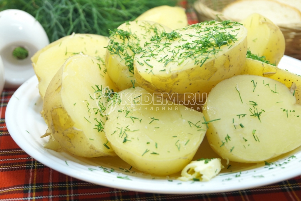 Молодая картошка с укропом